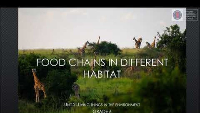 'Science Lessons Grade 6 | Topic : Food Chains in Different Habitat'