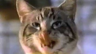 '80\'s Ads: Friskies Cat Food 1987'