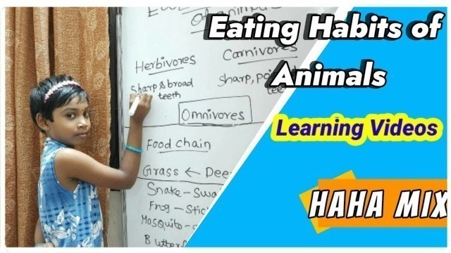 'Eating habits of animals || learning videos || HAHA MIX || Food chain of animals || kids learning ||'