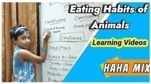 'Eating habits of animals || learning videos || HAHA MIX || Food chain of animals || kids learning ||'