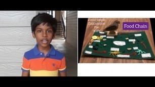 'Science project |Food chain | Food chain project for kids  | Food chain Model | project for kids'