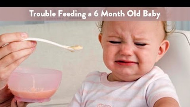 'Trouble Feeding a 6 month old Baby | Cloudmom'