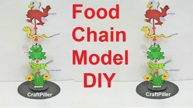 'food chain model for school science fair project | grasshopper| frog |snake and eagle craft ideas'