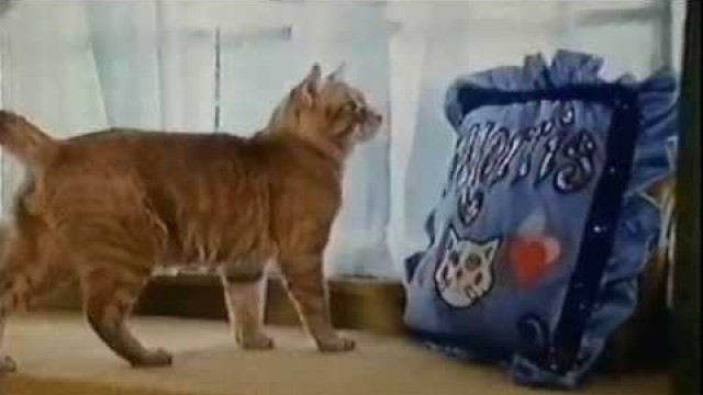 '80s and 90s UK Adverts: Nine Lives Cat Food 1993'