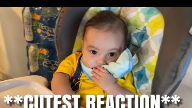 'Baby’s First Time Eating Solid Foods || Almost 6 months old'