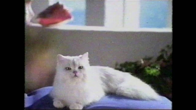 'Fancy Feast Gourmet Cat Food commercial (1999)'