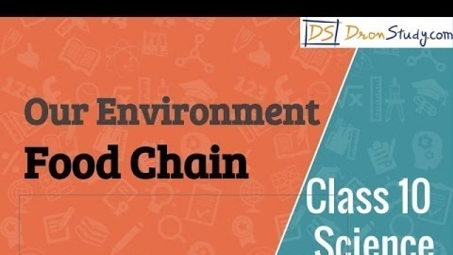 'Our Environment - Food Chain : CBSE Class 10 Science (Biology)'