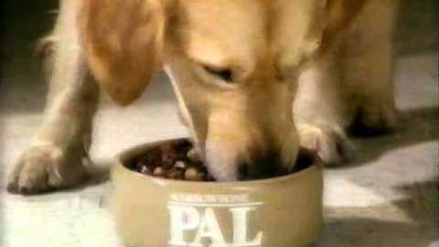 '80s and 90s UK Adverts: PAL - Dog food'