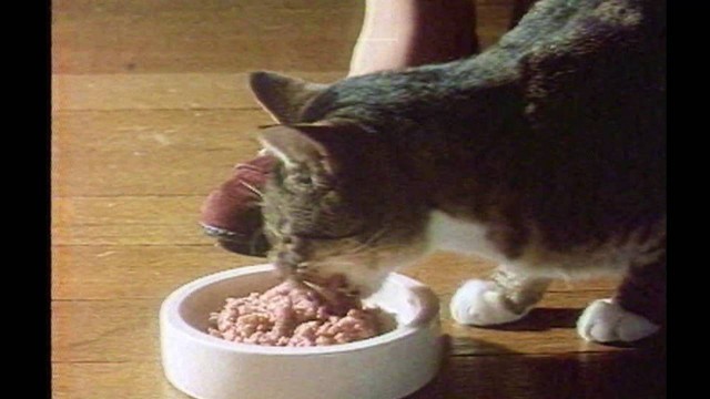 'GoCat Gourmet Cat Food Commercial 1982'