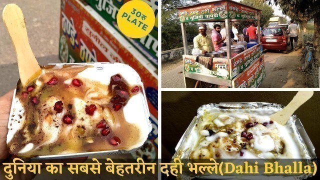 'Best Dahi Bhalle Chaat In Noida | Papdi Chaat | Dahi Vada | Street Food | दही भल्ले'