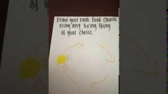 'Draw your own food chain'