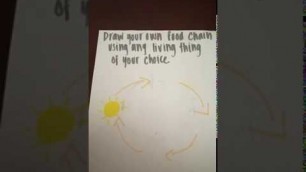 'Draw your own food chain'