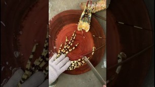 'Japanese Street Food / GIANT RAINBOW LOBSTER Sashimi Japan Seafood part 2'