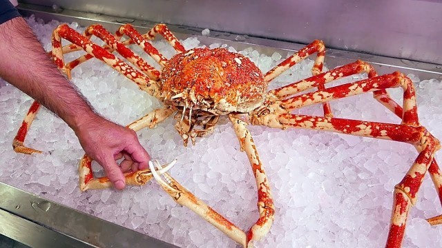 'Japanese Street Food - $500 GIANT SPIDER CRAB Seafood Okinawa Japan'