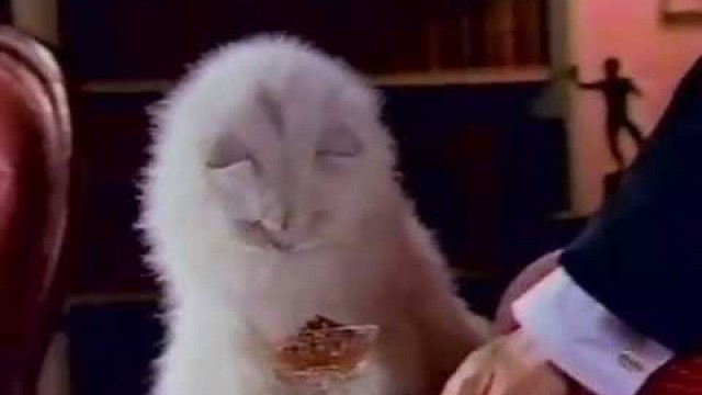 'Fancy Feast commercial 1985'