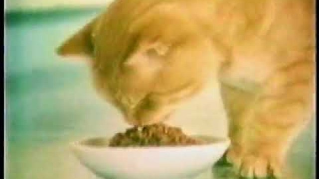 'Classic commercial for 9 Lives cat food'