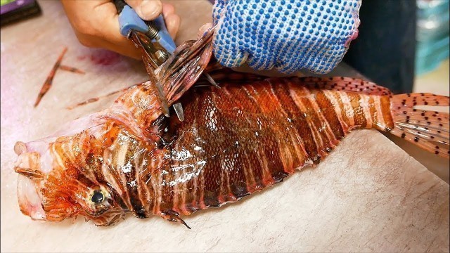 'Japanese Street Food - LIONFISH Most VENOMOUS Fish in the World!'