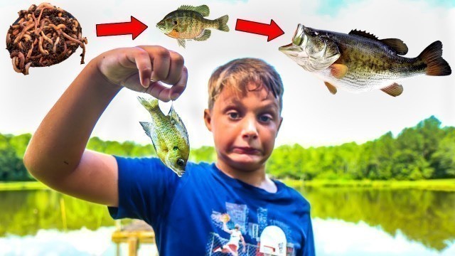 'Kid Attempts Food Chain Fishing Challenge (Unexpected Catch!!)'