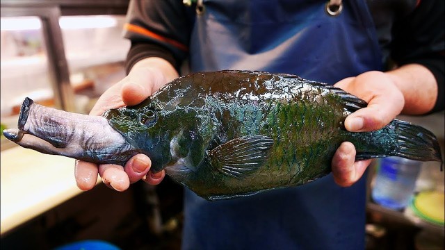 'ALIEN FISH Japanese Street Food'