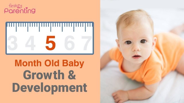 'Your 5 Month Old Baby\'s Growth & Development'