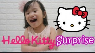 'Hello Kitty Guessing Game | Food Surprise | Cute Food Reaction | Yuri-chan | Fun Cute Kids Video'