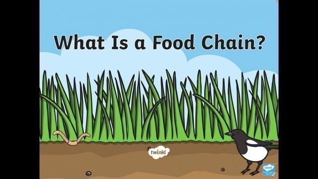 'Science Lesson - Food Chains 2nd February'