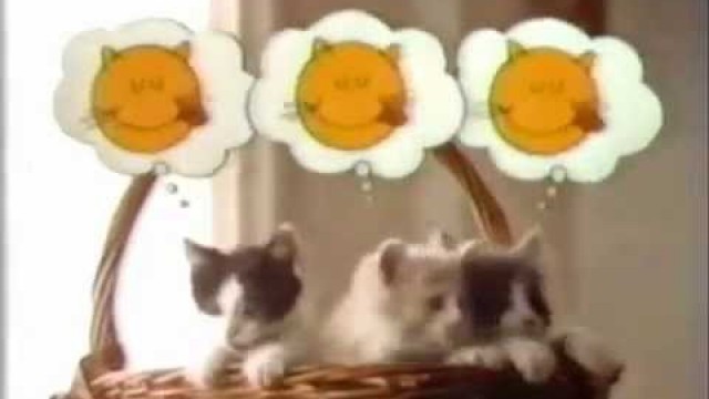 'Happy Cat cat food ad from 1982'