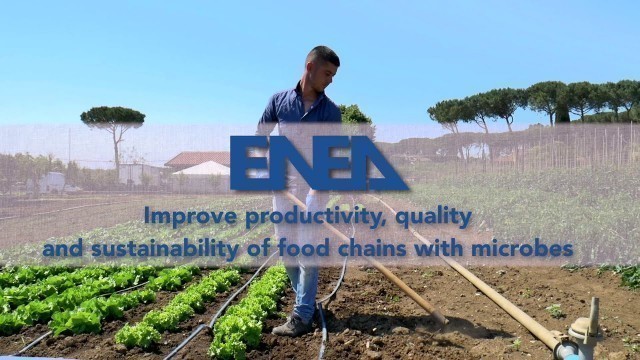 'ENEA Channel - IMPROVE PRODUCTIVITY, QUALITY AND SUSTAINABILITY OF FOOD CHAINS WITH MICROBES'