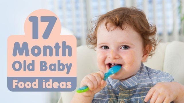 'Food Ideas For 17 Month Old Baby'