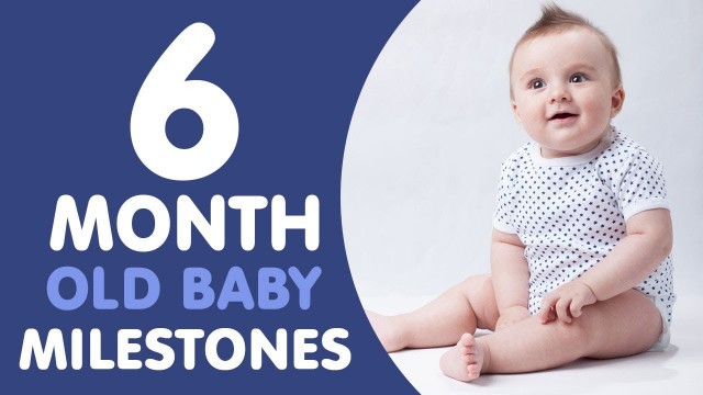 '6 Month Old Baby Milestones'