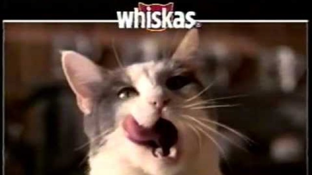 '1998 Whiskas Cat Food Commercial'