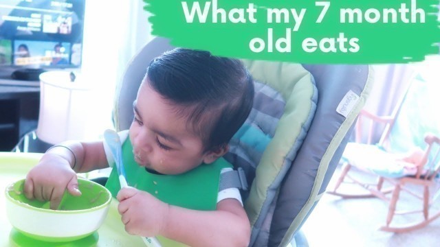 'What My 7 Month Old Eats in A Day | Baby Led Weaning vs Purees |  - Hindi Vlog | Indian in Canada |'