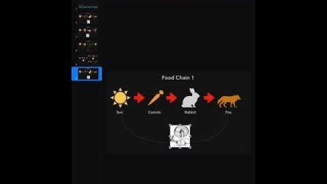 '10/8 -  Food Chains and Food Webs'