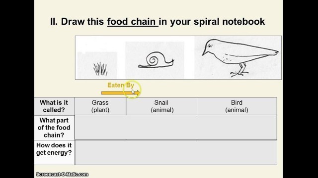 'Food Webs and Chains (Theme 1 Topic 1 pg 1)'