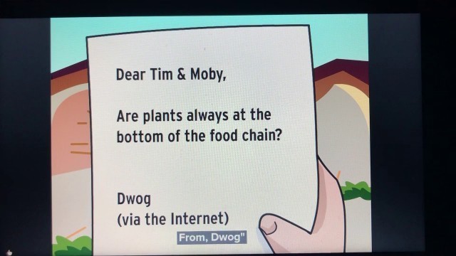 'Food Chains BrainPop'