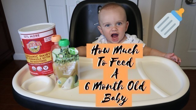 'How Much To Feed A 6 Month Old Baby | Feeding Schedule Of A 6 Month Old Baby'