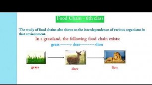 'CBSE - Kids Living Science   Food Chain   6th class'