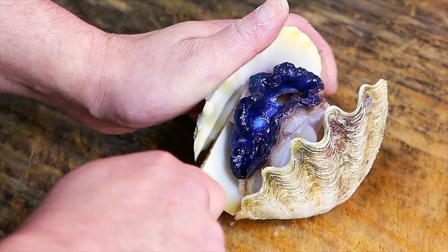 'Japanese Street Food - GLOWING CLAMS SASHIMI Okinawa Seafood Japan'