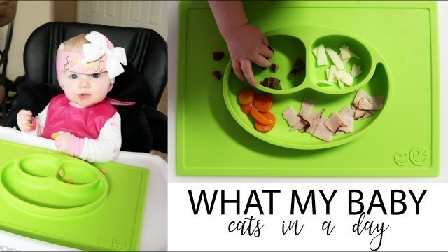 'WHAT I FEED MY BABY IN A DAY - 7 months old / Daily Vlog'