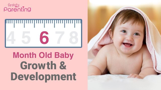 'Your 6 Month Old Baby Growth and Development - Milestones, Activities & Baby Care Tips'