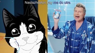 'Russian cat food ad [Felix] [Baskov & Kirkorov - Meat or Fish] [sub] [karaoke]'