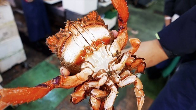 'Japanese Street Food - RANINA RANINA CRAB Okinawa Japan Seafood'