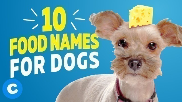 '10 Cute Food Names for Dogs'