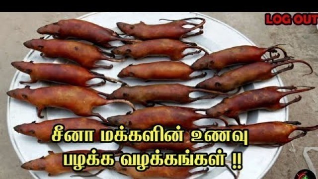 'Chinese peoples food habits | சீனா\'வின் உணவு பழக்க வழக்கங்கள் | LOG OUT'