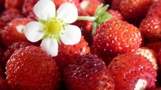 'Miniature Food with Real Food - Strawberry Tarts / Tarte aux fraises'