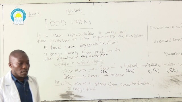 'Form 3 - Biology - Topic: Ecology .... (FOOD CHAINS & FOOD WEBS), By; Tr. Francis.'