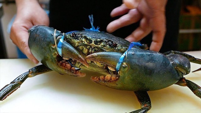 'Japanese Street Food - GIANT MUD CRABS Crab Dumplings Chilli Okinawa Seafood Japan'