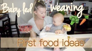 'BABY LED WEANING BASICS | WHAT MY 6 MONTH OLD EATS'