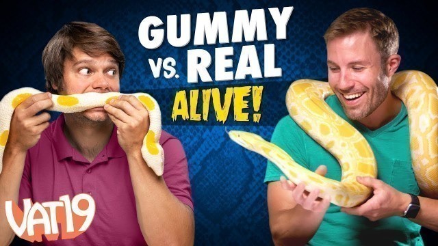 'Gummy vs Real: Live Animals | VAT19It\'s Alive! | Gummy Vs. Real | VAT19'