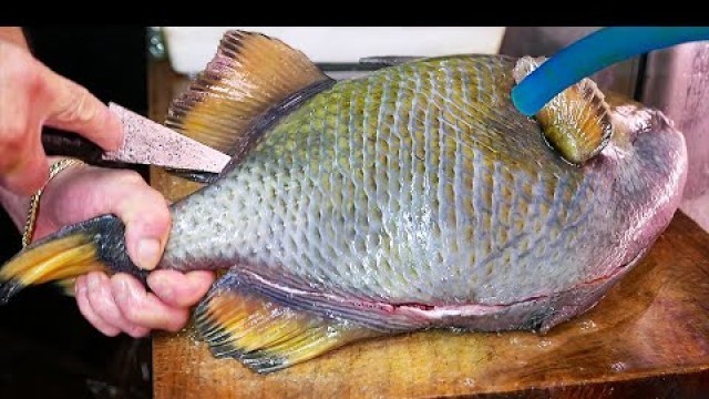 'Japanese Street Food - GIANT TRIGGER FISH Dipping Noodles Okinawa Seafood Japan'